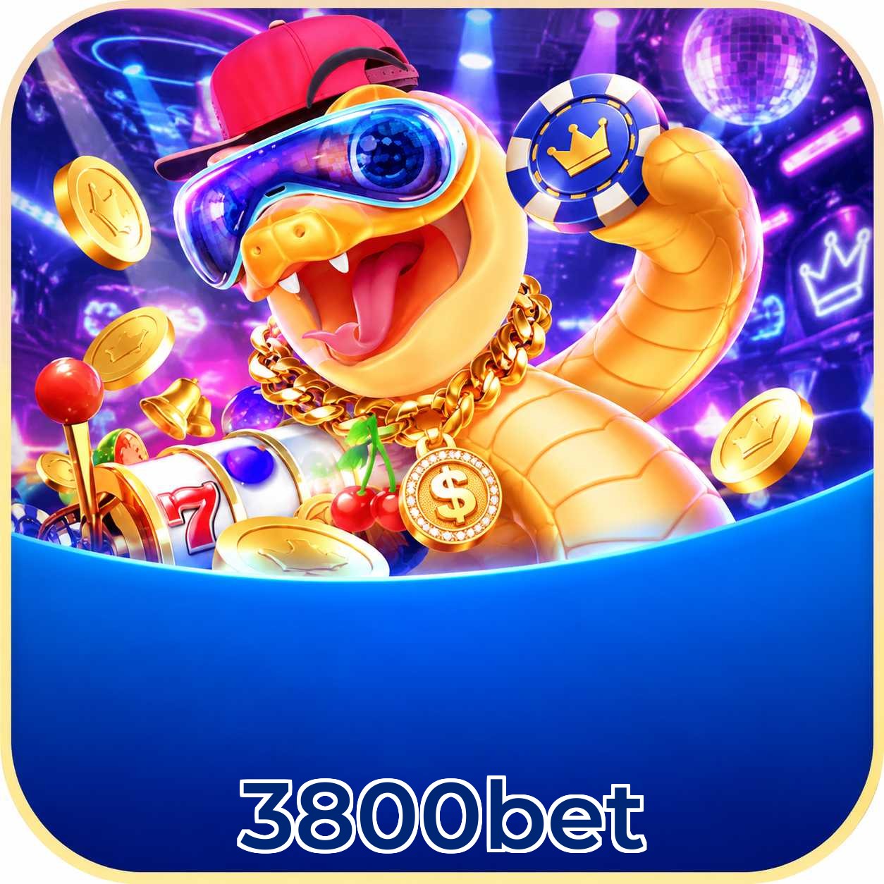 3800bet Final Verdict